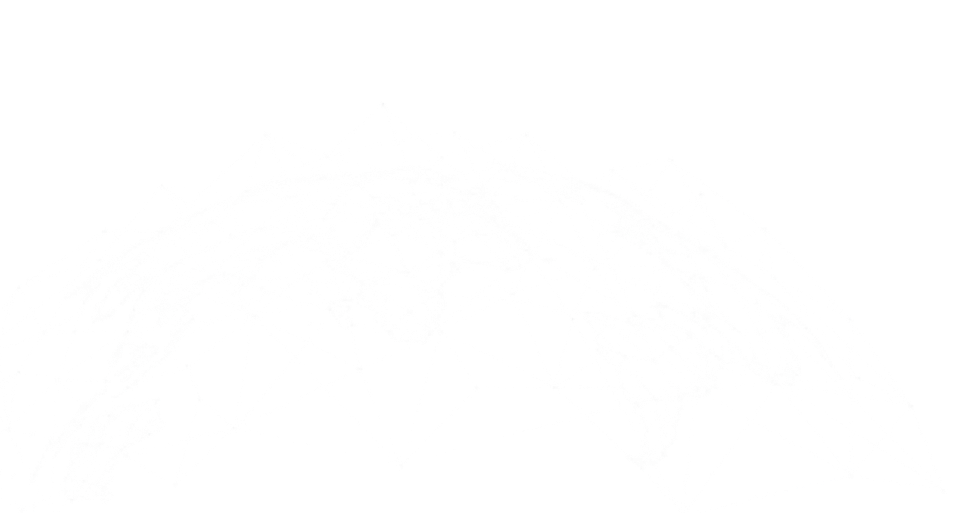 Internet service features illustration